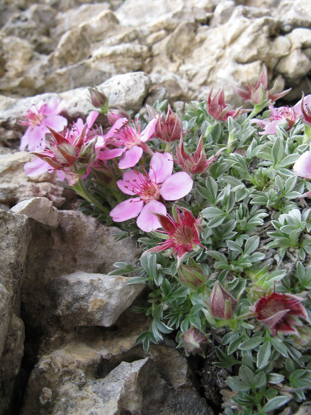 pisciadu_080.jpg