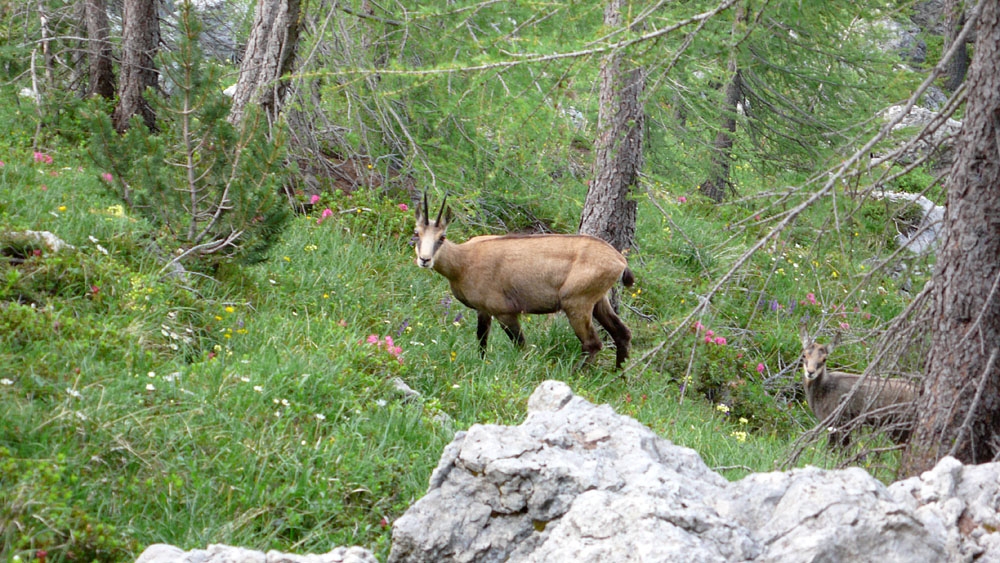 pisciadu_212.JPG - Familienausflug