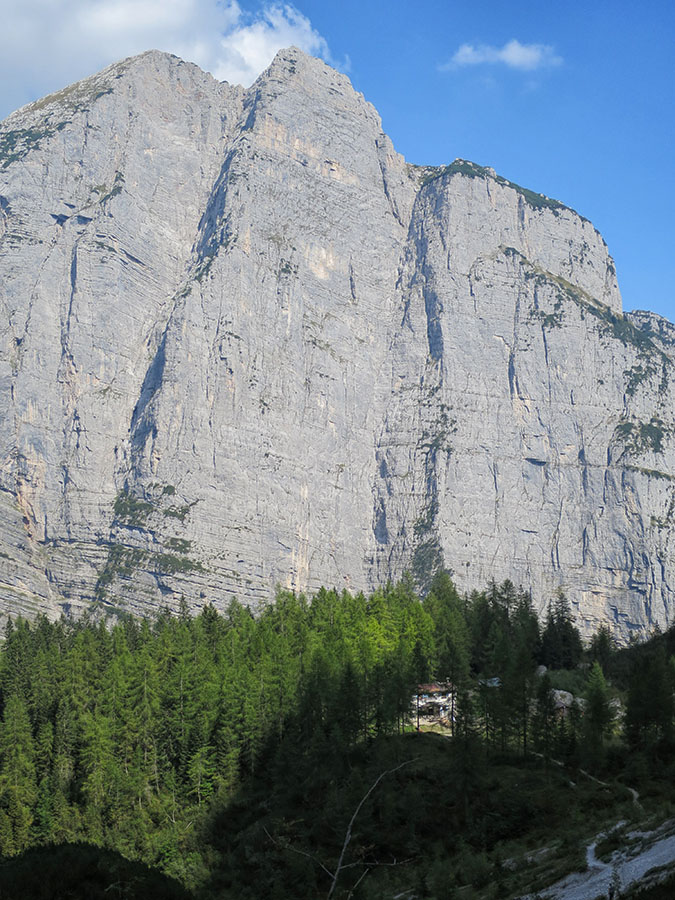 centrale047.jpg - Die faszinierende Riesenwand des Croz dell'Altissimo mit dem versteckten Refugio Selvata im Kiefernwald. Und so endete bald der dritte Tag der Brenta Runde, die der Höhepunkt meiner Reise werden sollte, und meine Erwartungen übertroffen hat. Man muss da einfach mal gewesen sein. Das Erlebnis, sich mehrere Tage durch diese wilde Felskulisse zu bewegen, ist einmalig. Mit meinen zwei sympathischen Begleitern hatte ich eine noch bessere Zeit als wenn ich alleine unterwegs gewesen wäre. Mit dem Wetter hatte ich außerdem noch Glück. Um diese Zeit kann es schon Neuschnee geben da oben.                               