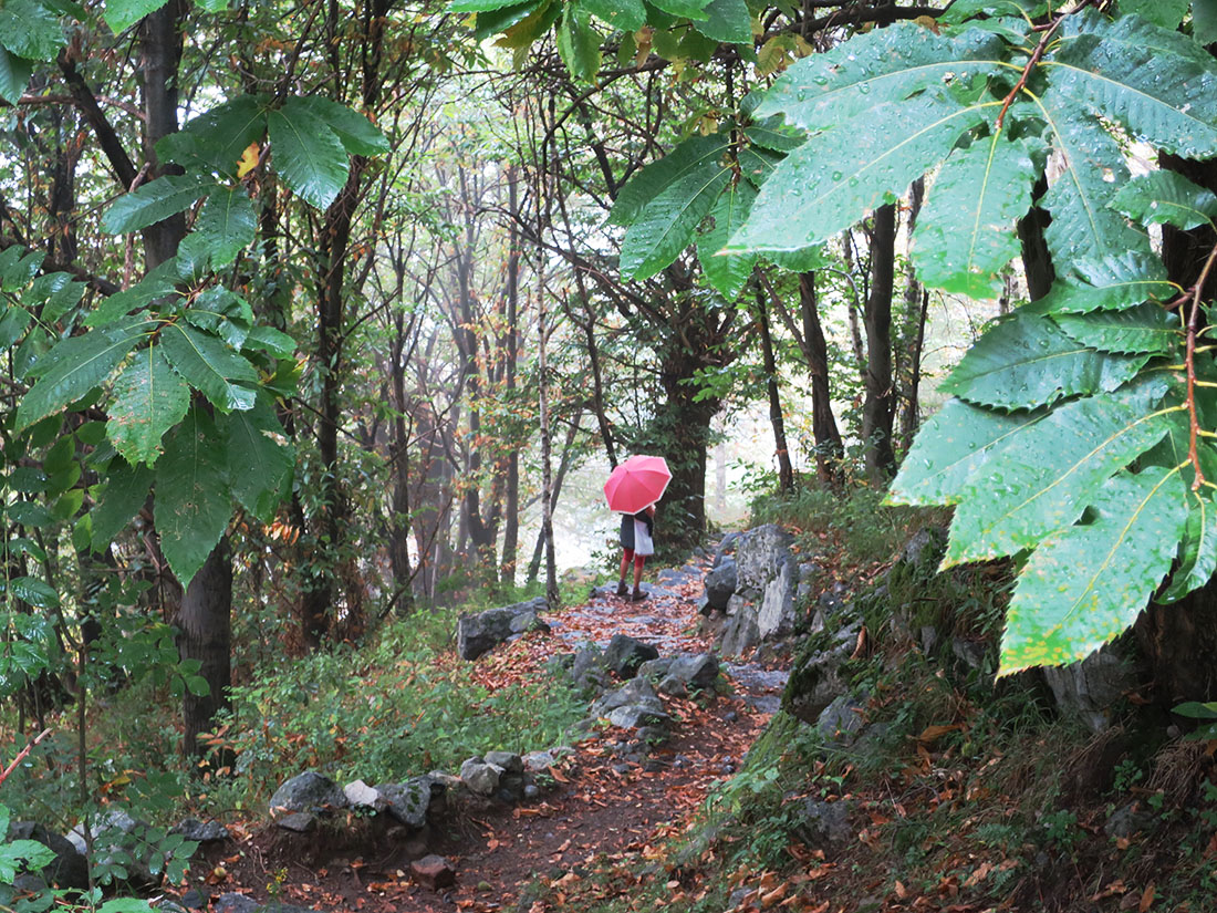 tracc018.jpg -                                