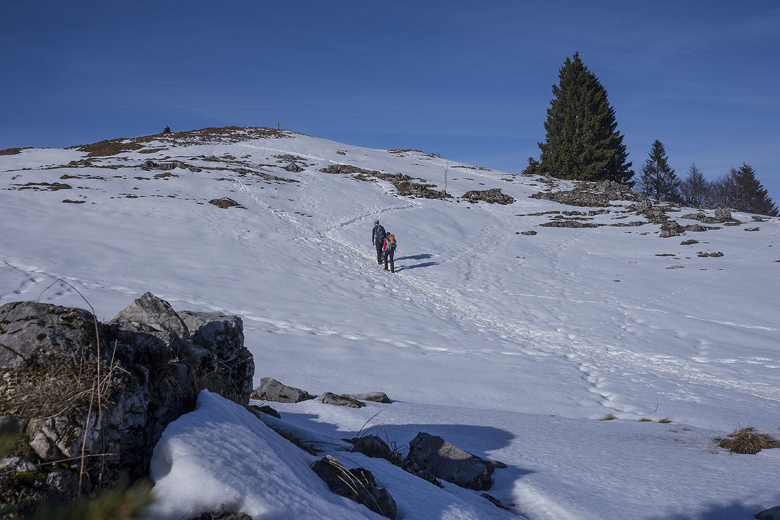 Hochalm03f.jpg