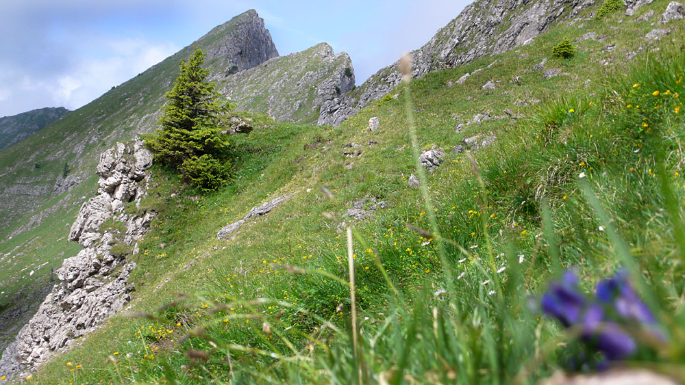 hochplatte02.jpg - Blick zur Krähe (der Berg, nicht das Viech)