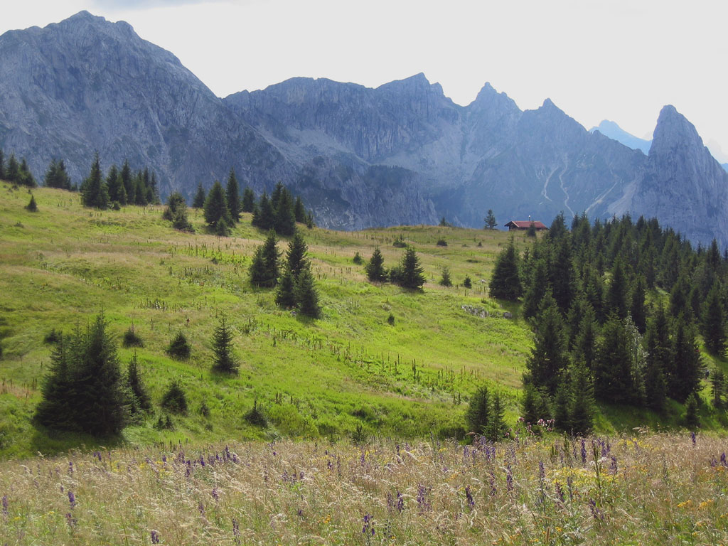 Letztes Bild erreicht