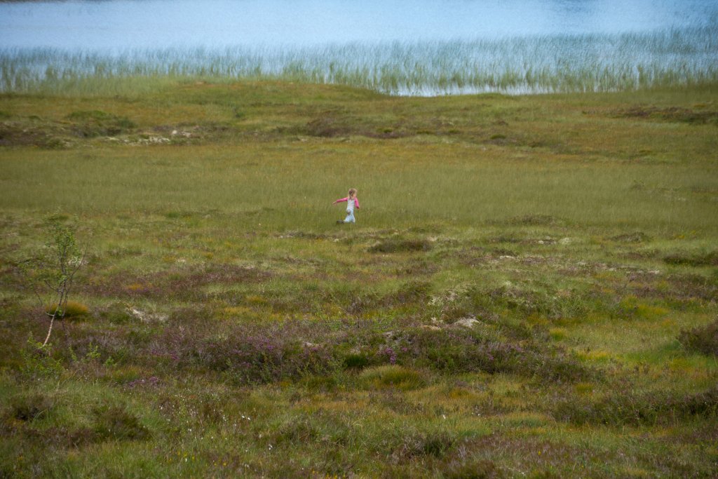 norw_0290.jpg - Ein kleines Mädel hupft allein durch ein Moor. Was steckt dahinter?