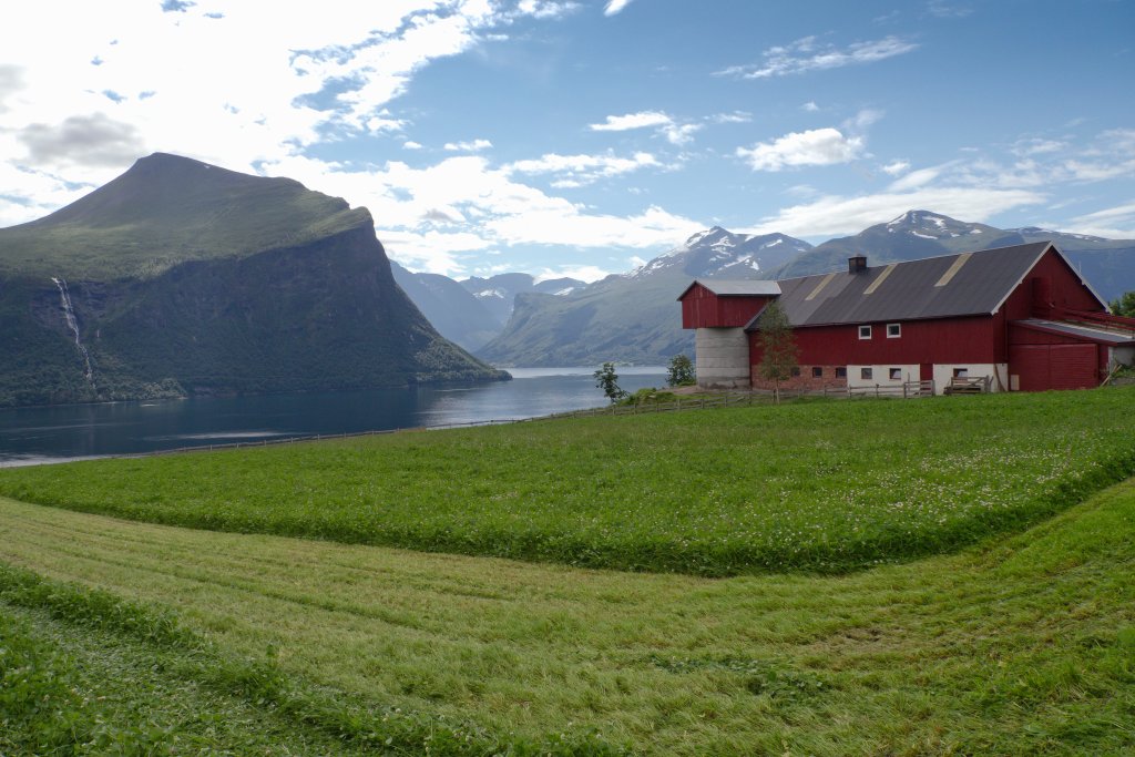 norw_0299.jpg - Was muss dieser Bauer stolz auf sein Land sein!