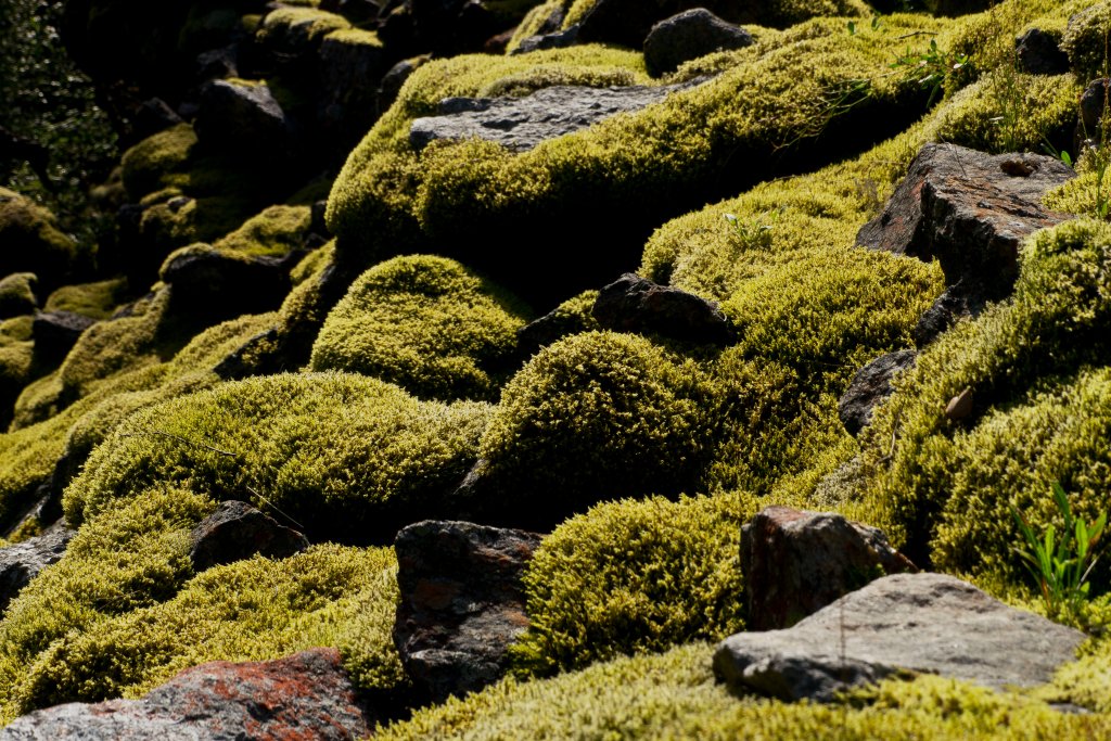 norw_0840.jpg