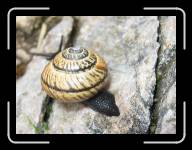 wetter11 * 800 x 594 * (126KB)