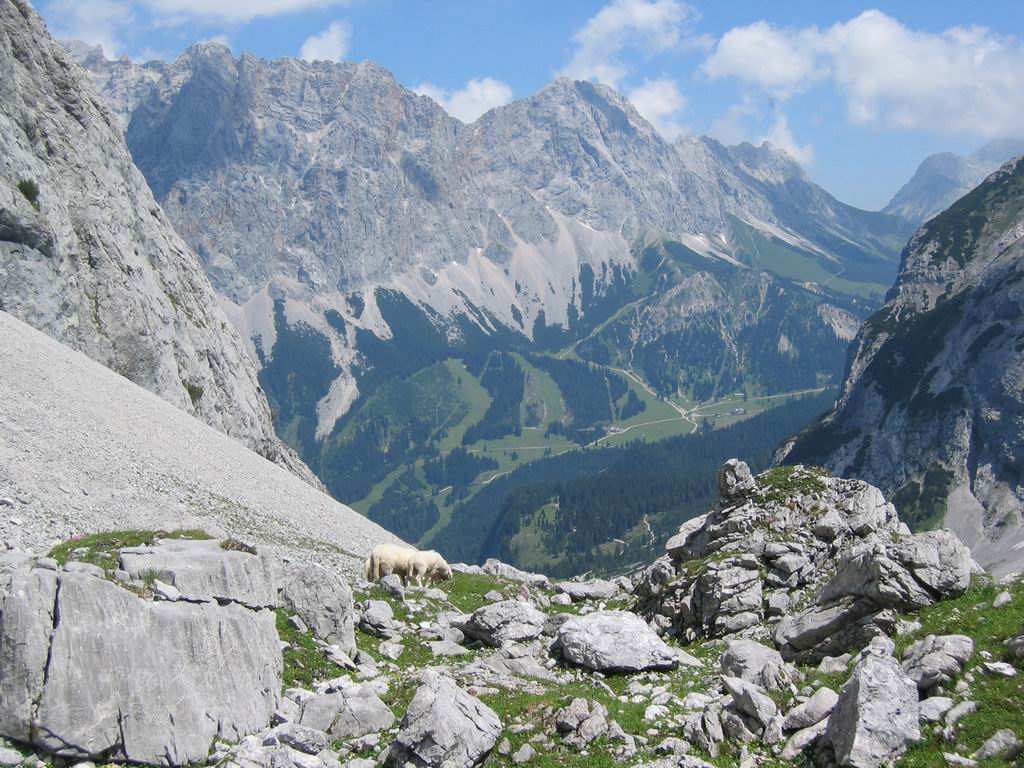 N&auml;chstes Bild