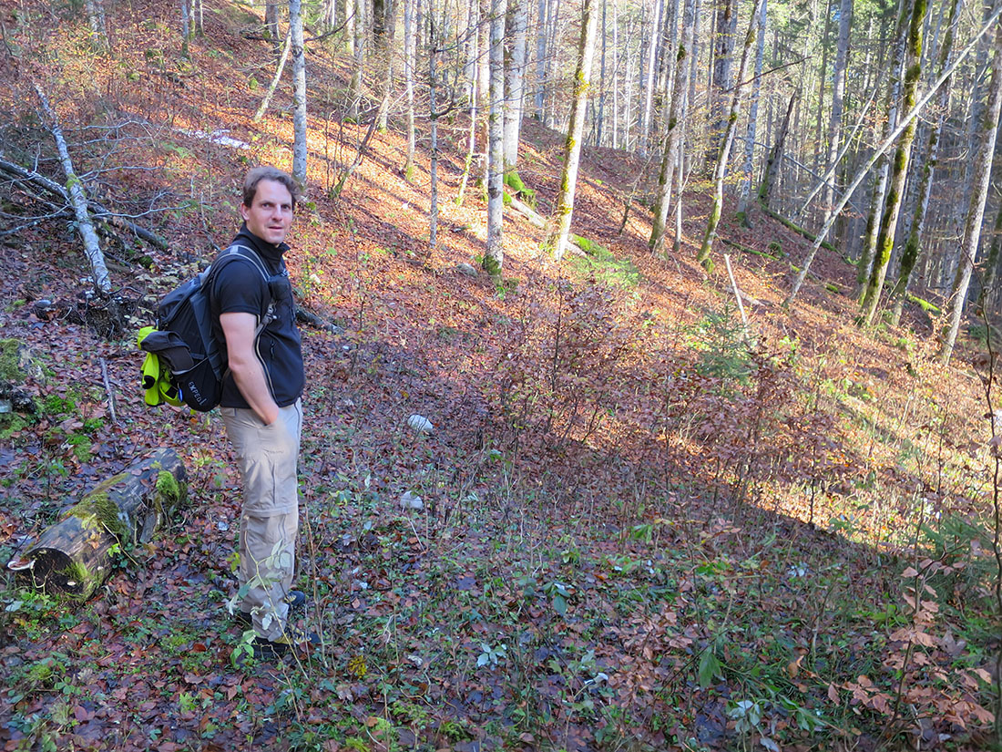 staffel004.jpg - Runter von der Forststraße. In der Karte ist hier irgendwo ein Weg eingezeichnet. Da hat mindestens 30 Jahre keiner mehr nachgesehen.