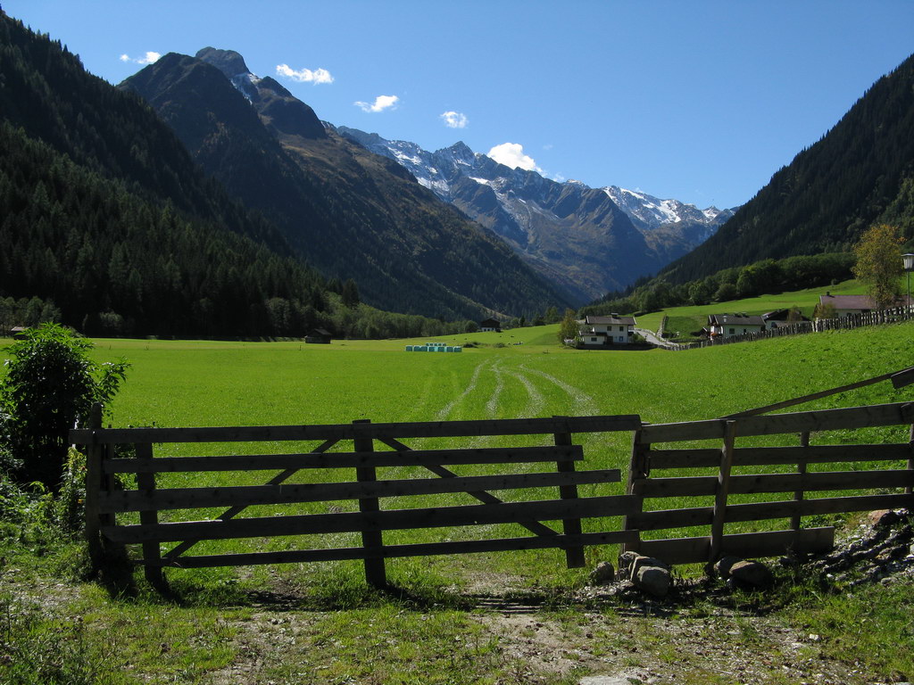 N&auml;chstes Bild