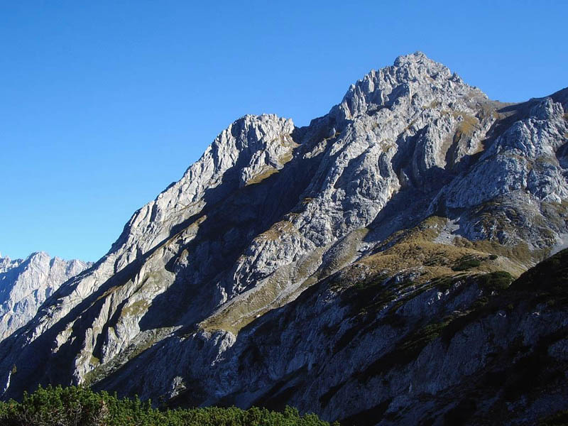 N&auml;chstes Bild