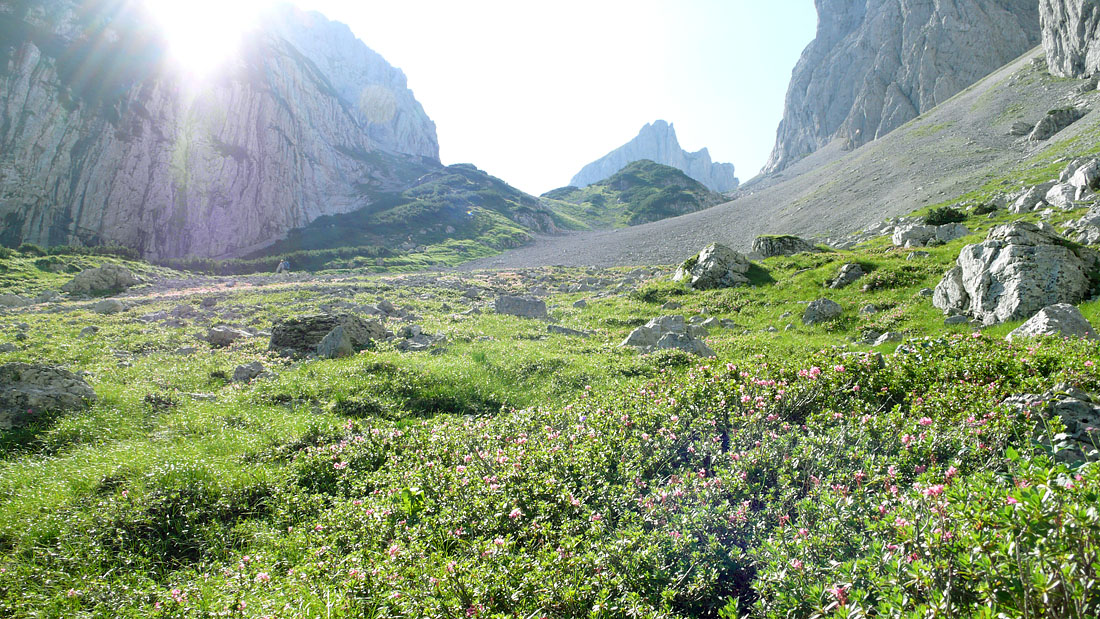 toerlwand_010.JPG - Auf dem Weg zur Fritz-Pflaum Hütte