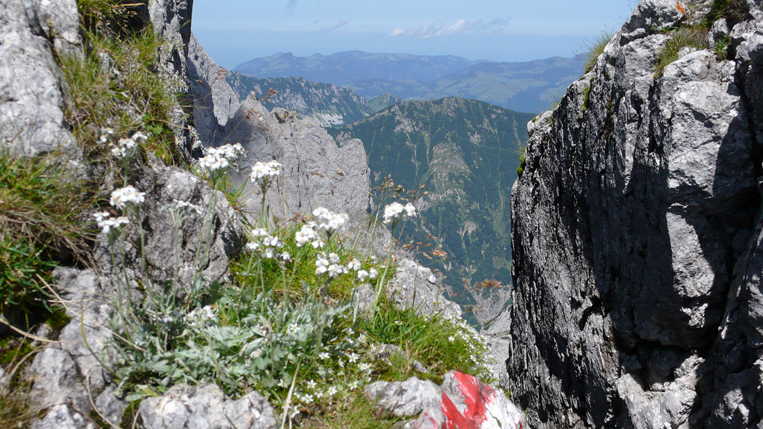 toerlwand_060.JPG - Da kamen wir her