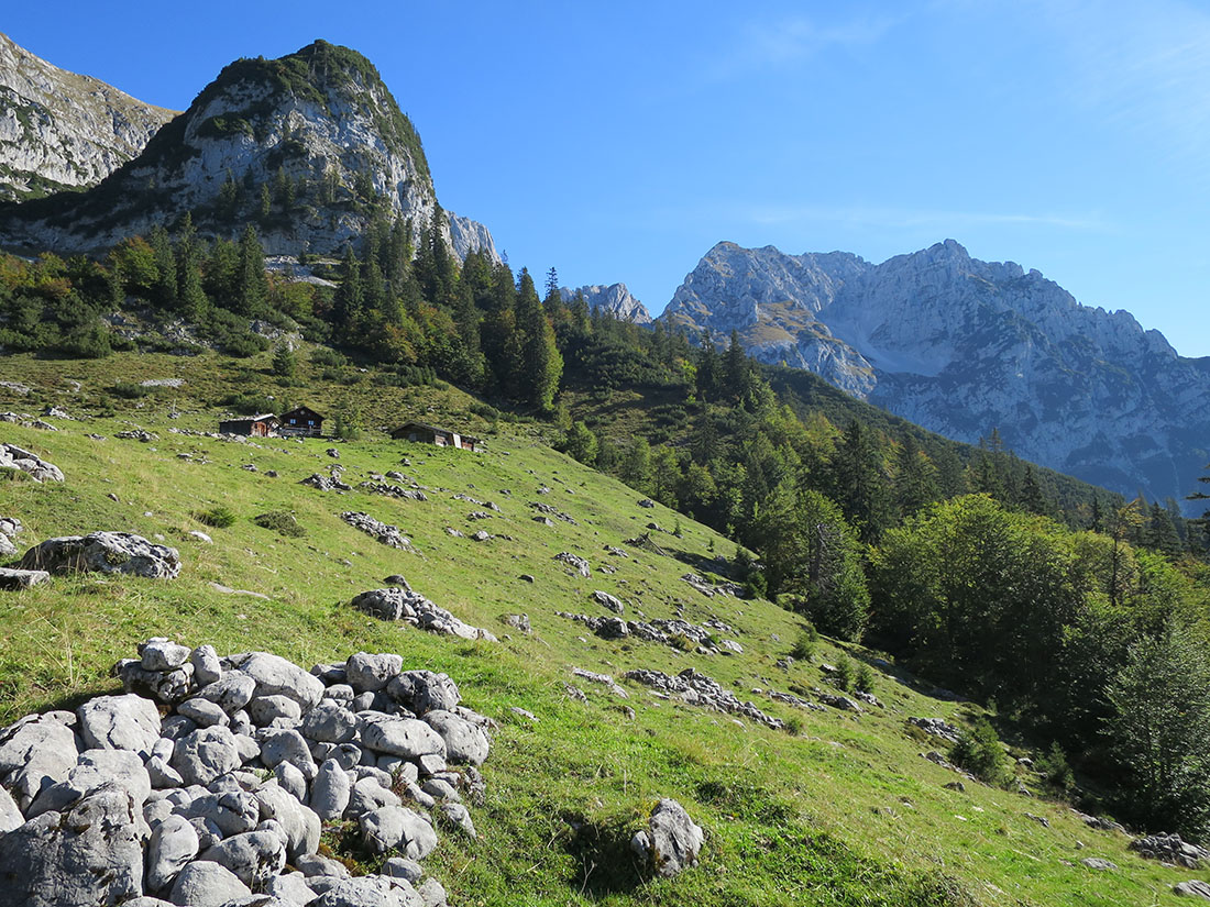 treffauer013.jpg - Hochalm mit dem gut besuchten Sonnenstein dahinter.