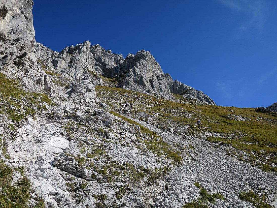 treffauer050.jpg - Erst mal steile Wiesen rauf.                               
