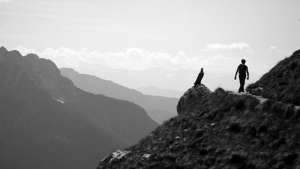 teuf130.JPG - Erich schleicht am Christomannos-Denkmal vorbei. Der Blechadler passt auf.