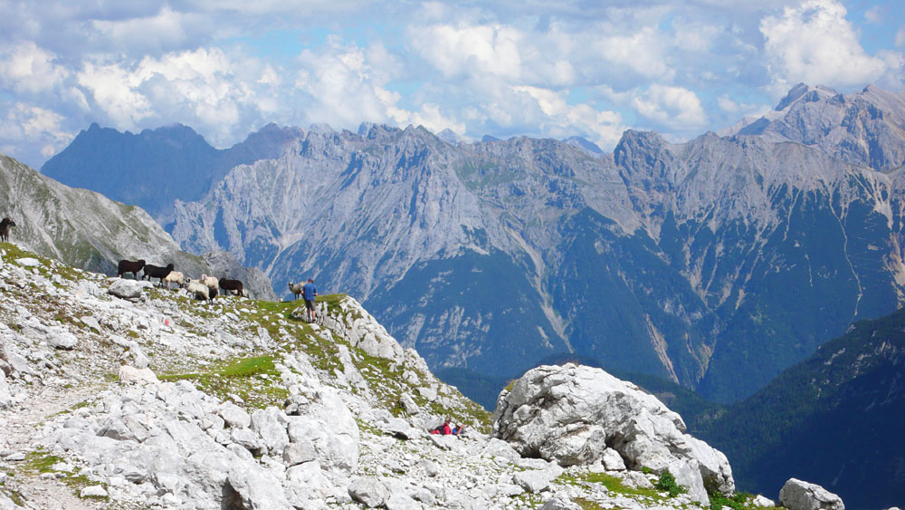 P1010288.JPG - Karwendel oberhalb von Mittenwald. Oben auf dem Kamm verläuft der Mittenwalder Höhenweg.