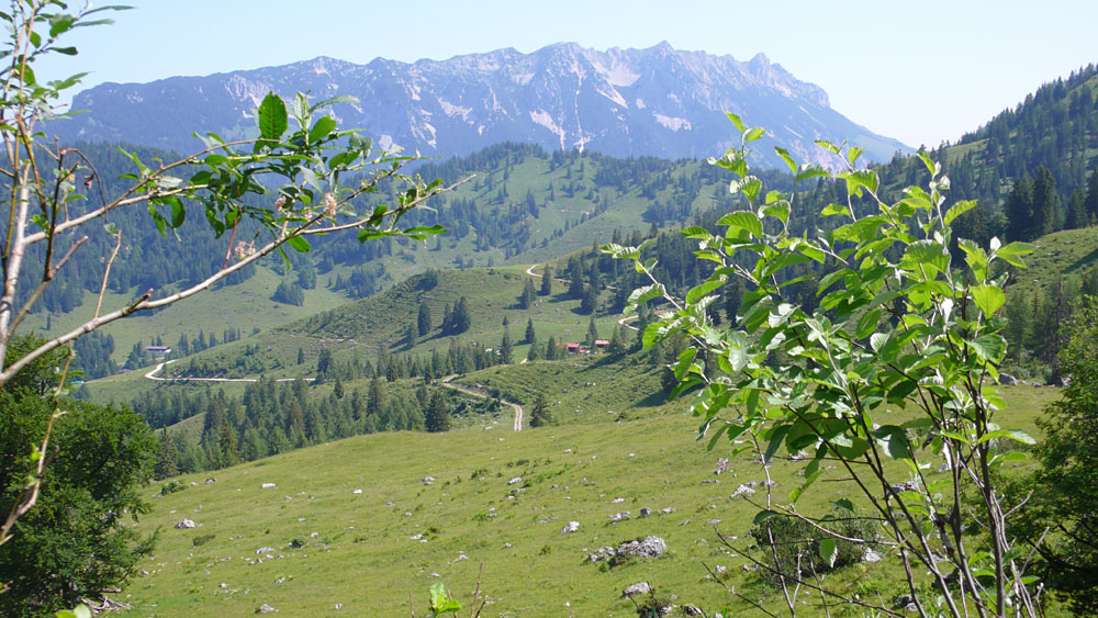 widauer020.jpg - Auf dem Weg zur Kaindlhütte.