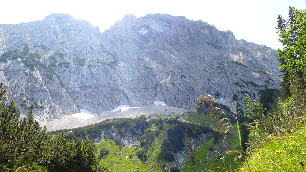 widauer030.jpg - Die im Sommer angenehm schattige Scheffauer Nordwand. Der Widauersteig zieht sich von links immer entlang der  Latschenflecken bis hinauf zu der auffälligen Scharte.