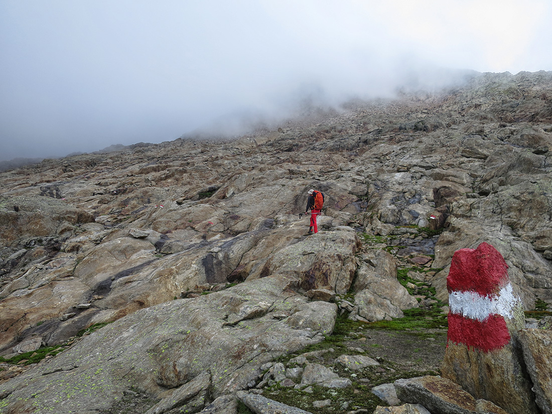 freiger136.jpg - Der neu markierte Weg rauf zur Rotgratscharte. Wildes Gelände. Angenehmer zu gehen als die diversen Schotterhäufen, die von Gletschern hinterlassen wurden.